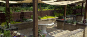 Pool-Dining-B3