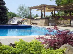 Pool waterslide pergola